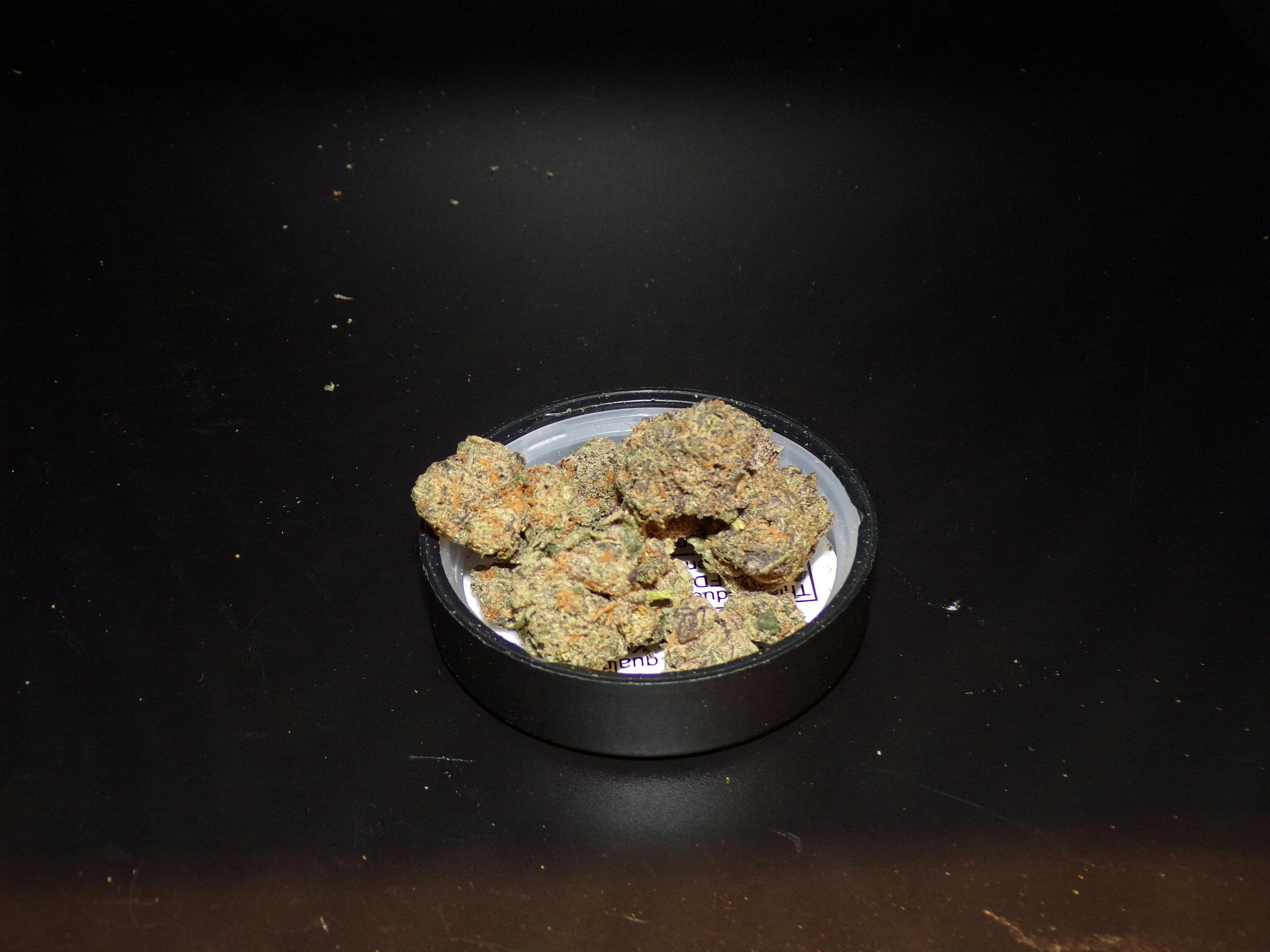 BOLD - Purple Milk 3.5g