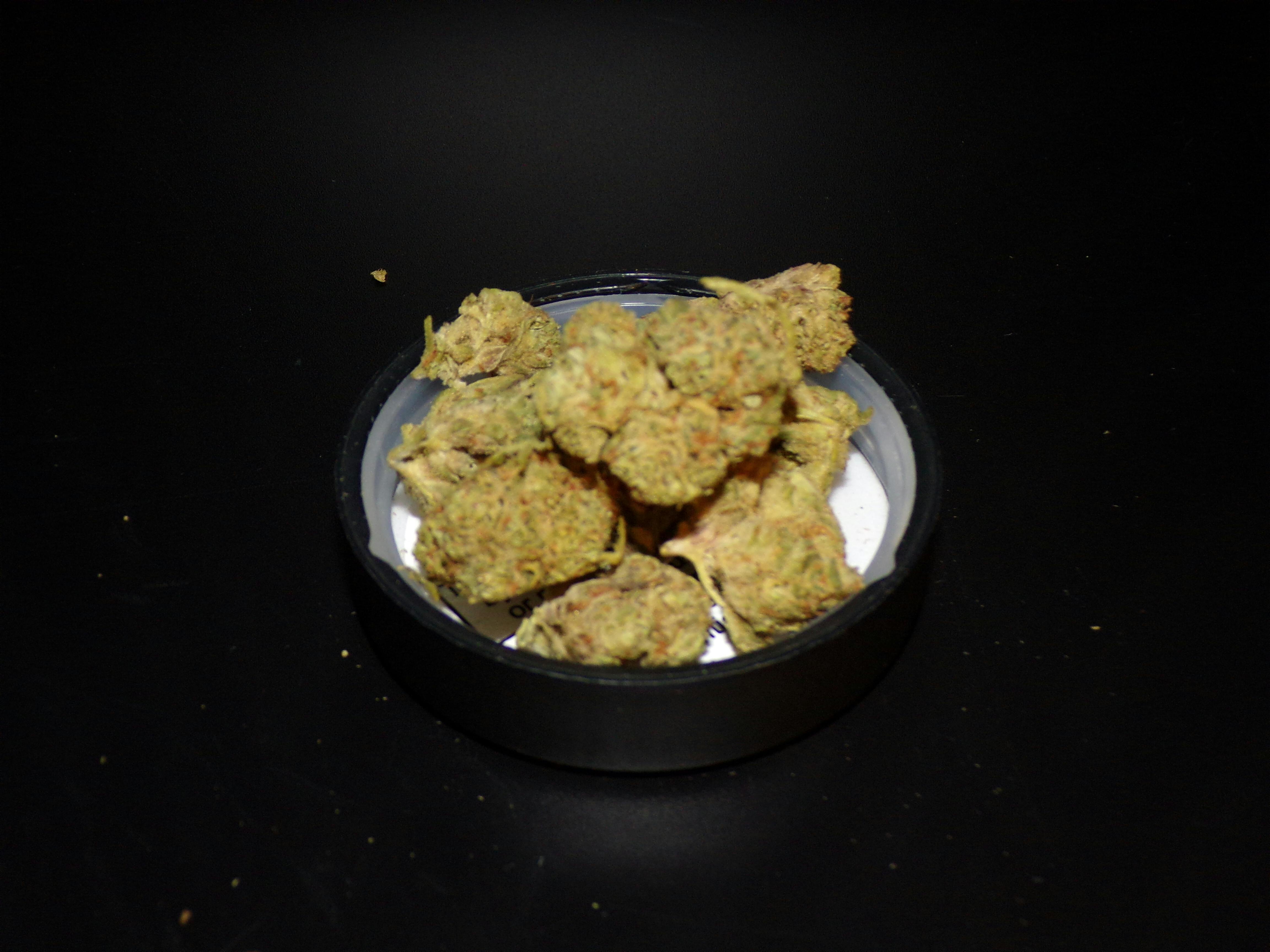 BOLD - Cookies and Chem 3.5g