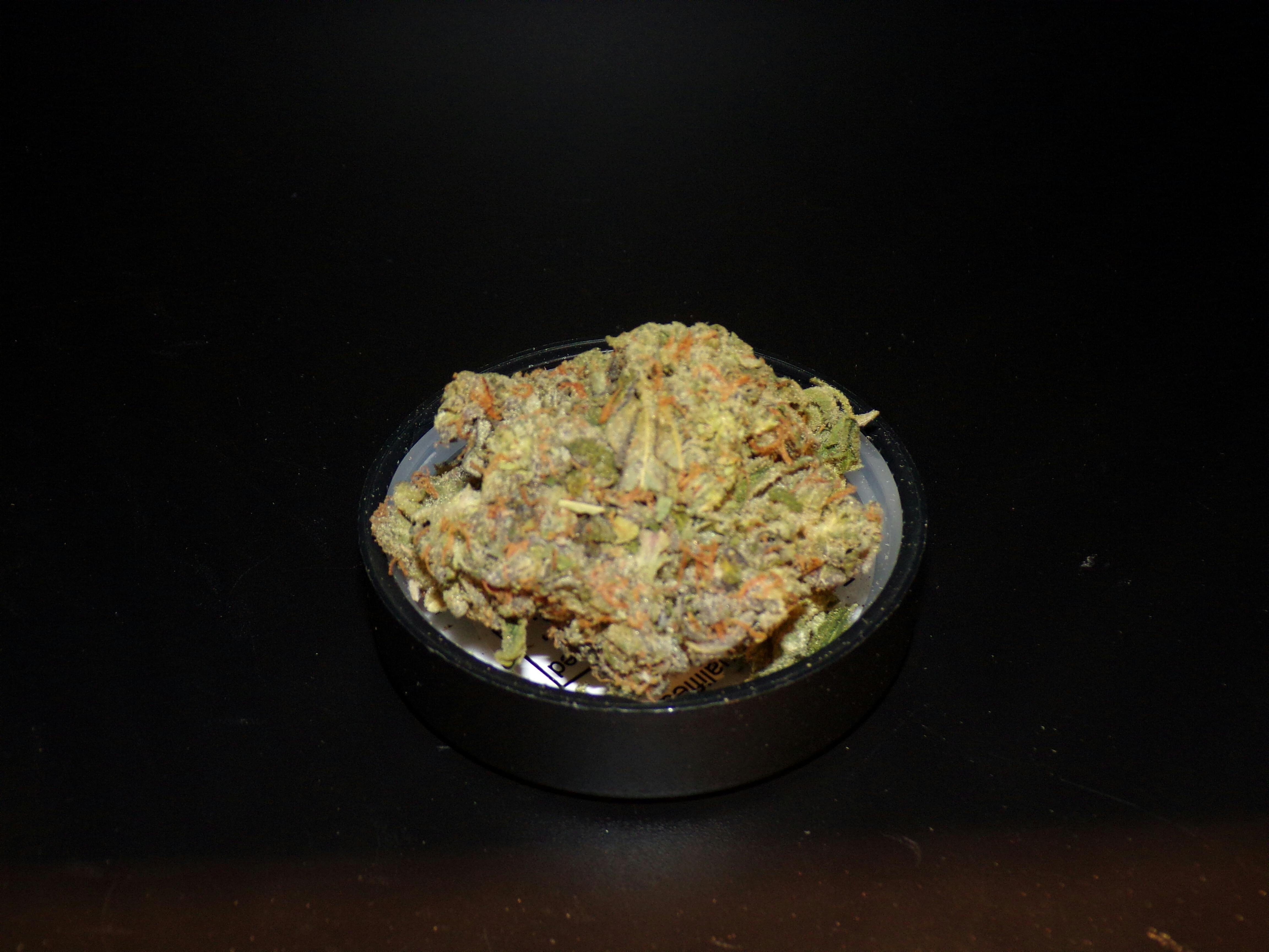 Ecto Cooler | 3.5g