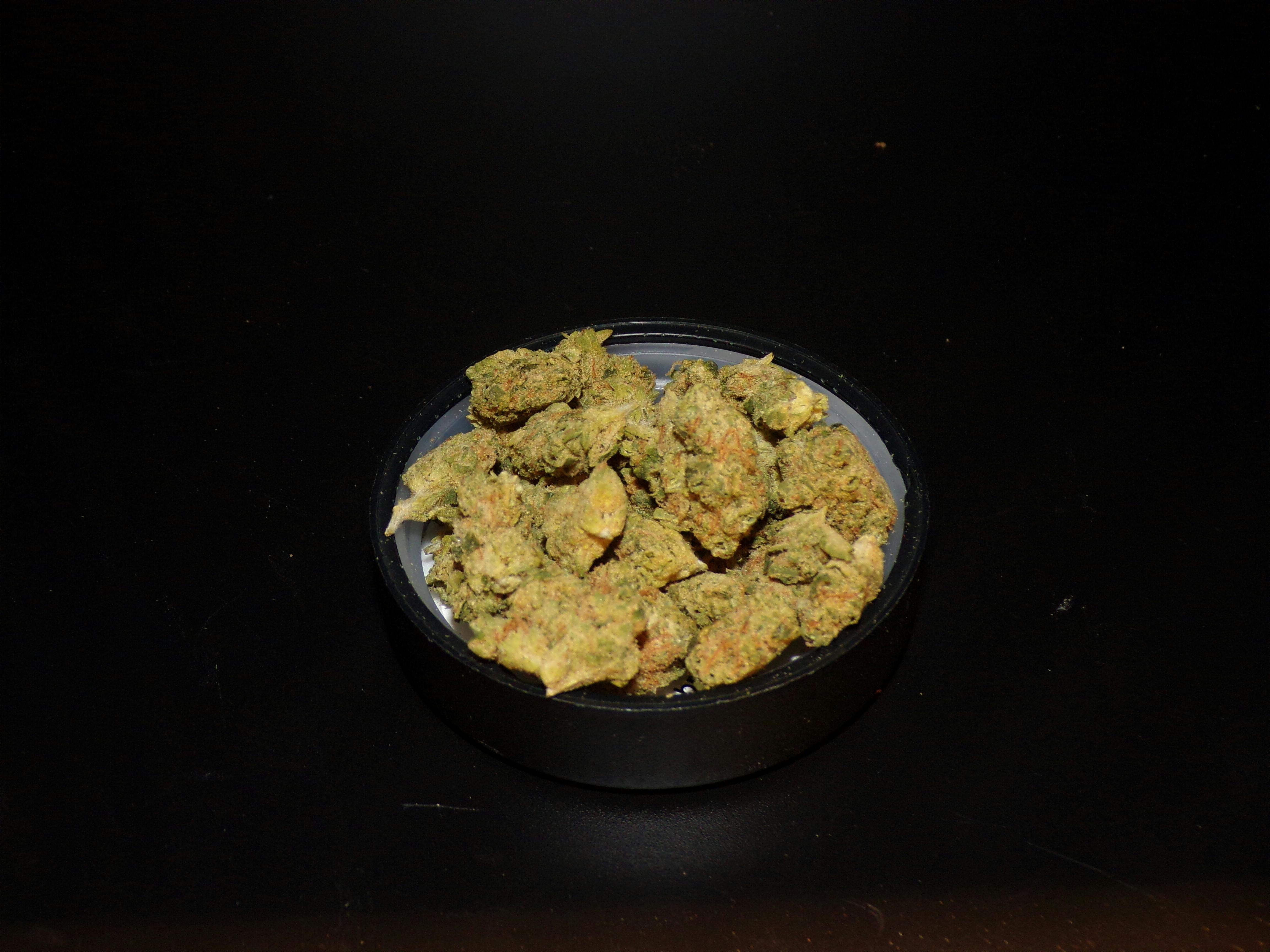 StarDawg F2 | 3.5g