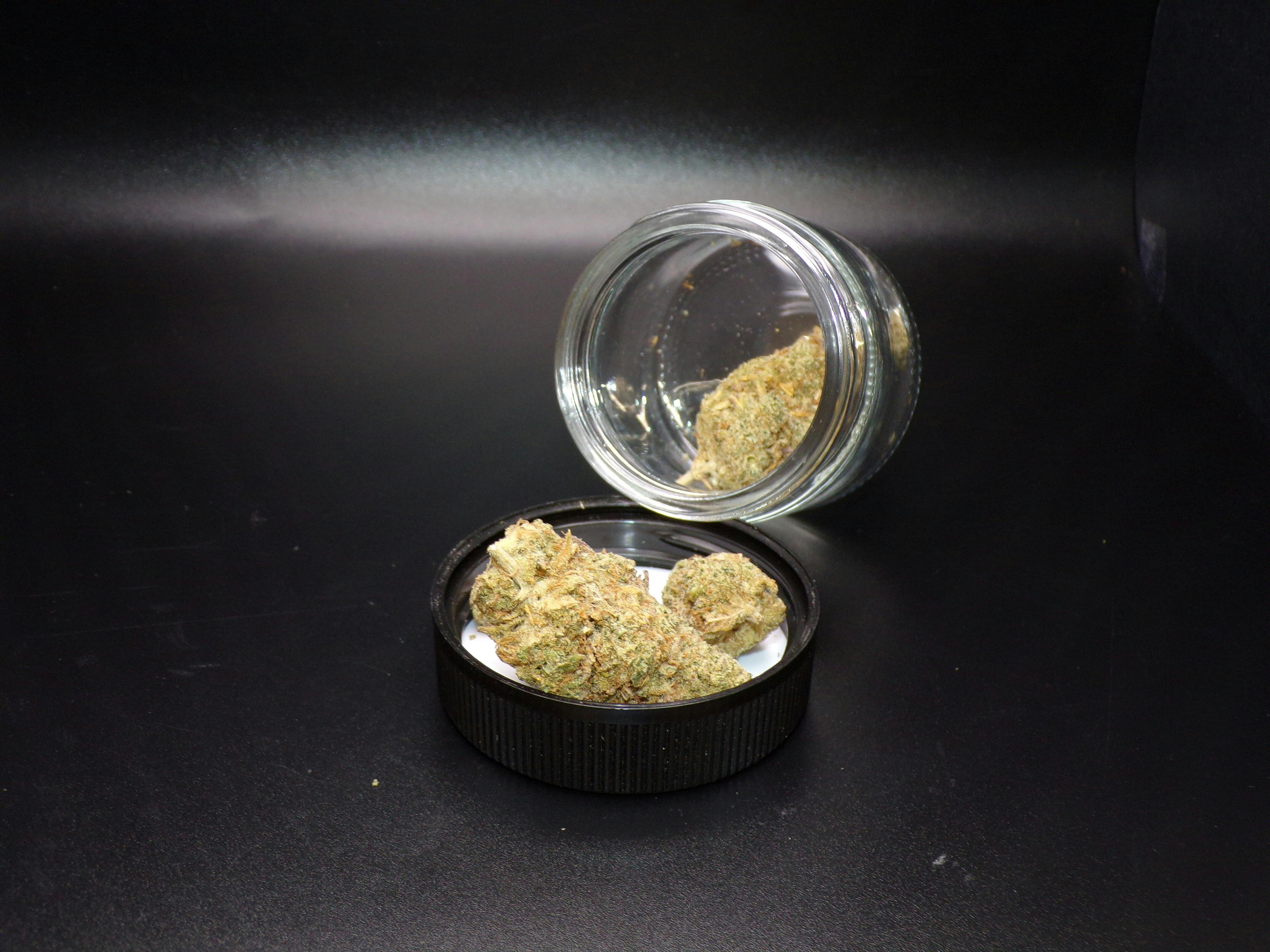 Mac N Jack | Big Buds | 3.5g