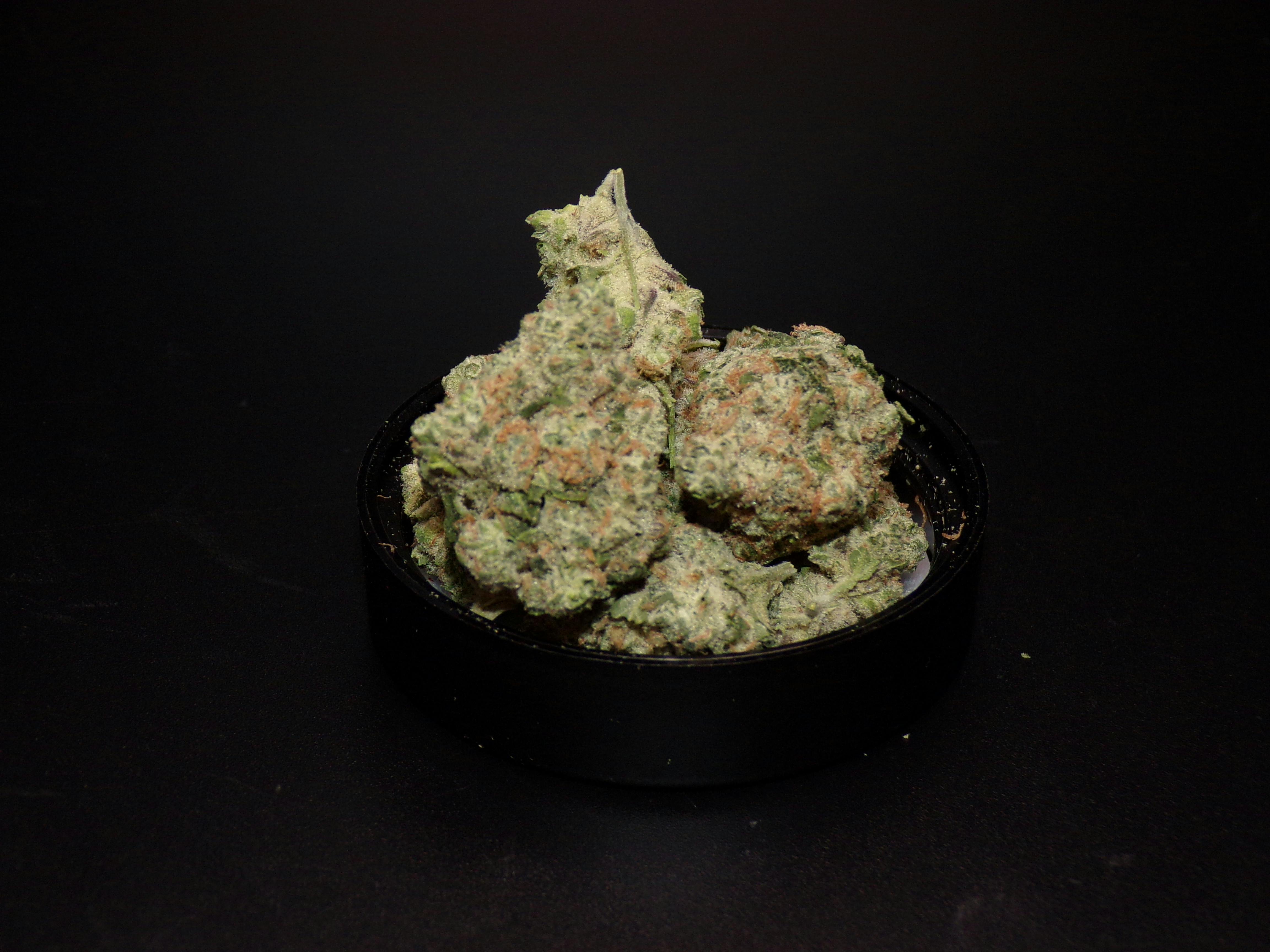 BOLD - Sour Diesel 3.5g