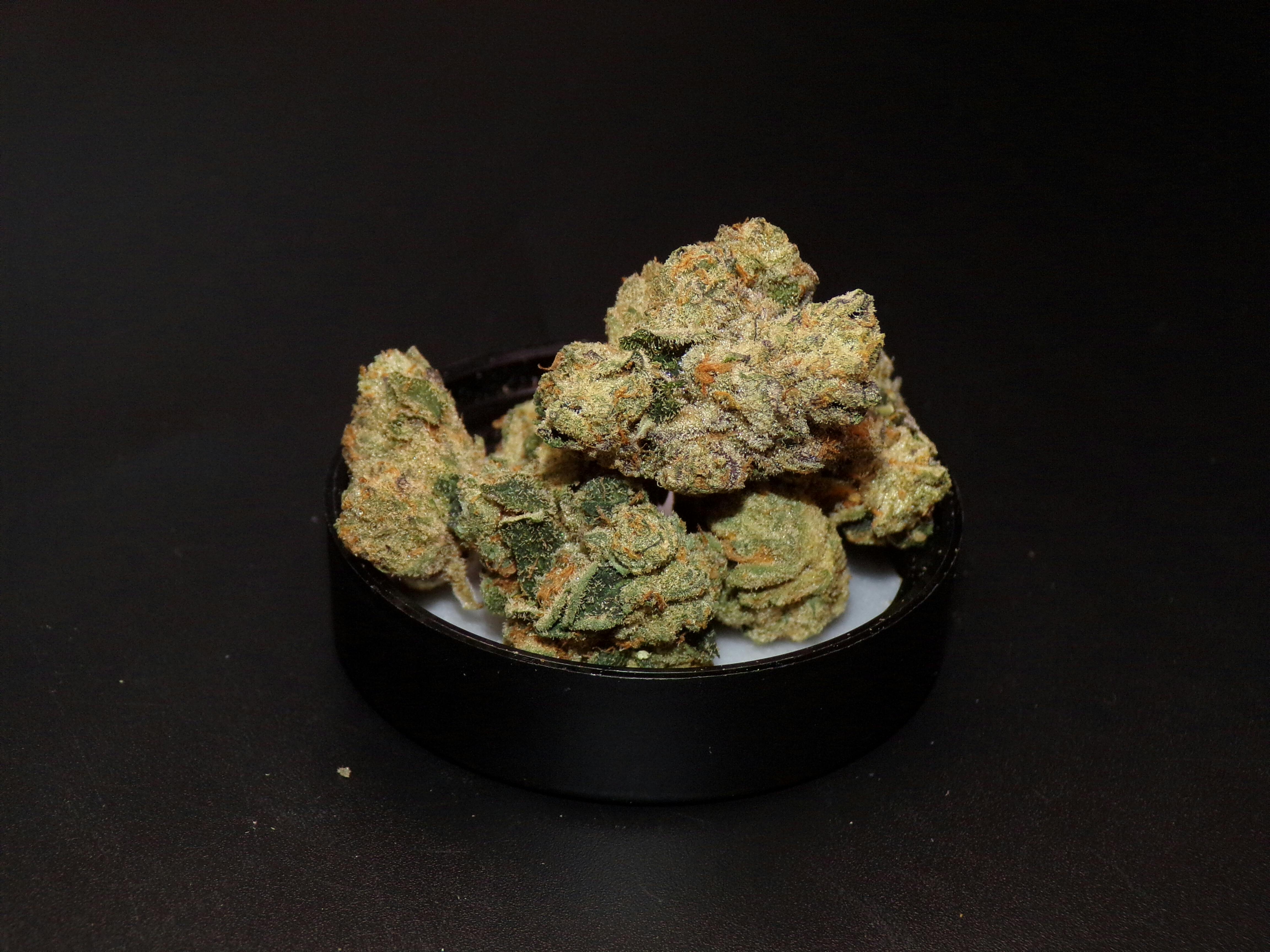 CF | Interspecies Erotica | 3.5g Flower