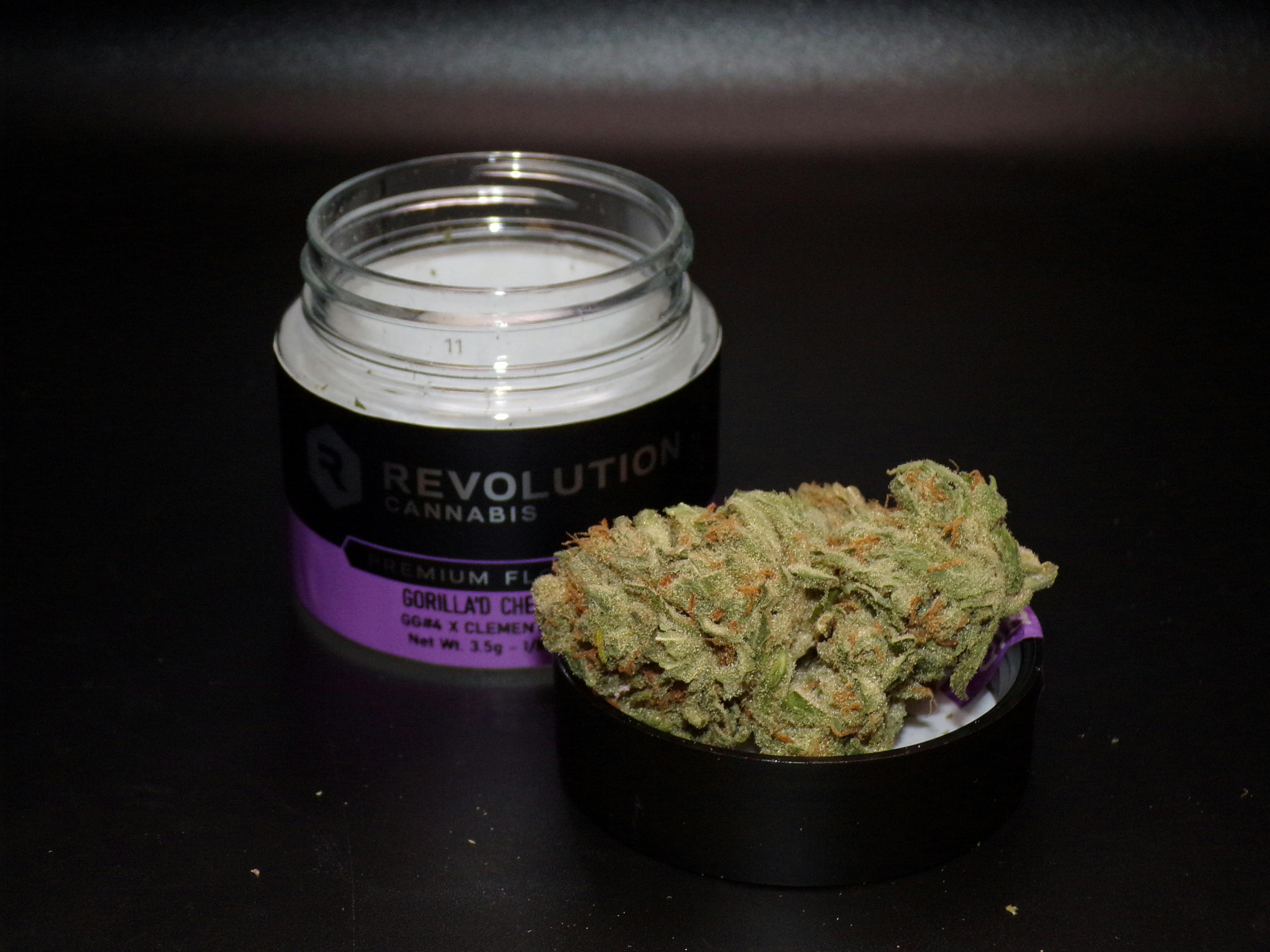 Revolution | Gorilla'd Cheese | Flower | 3.5G