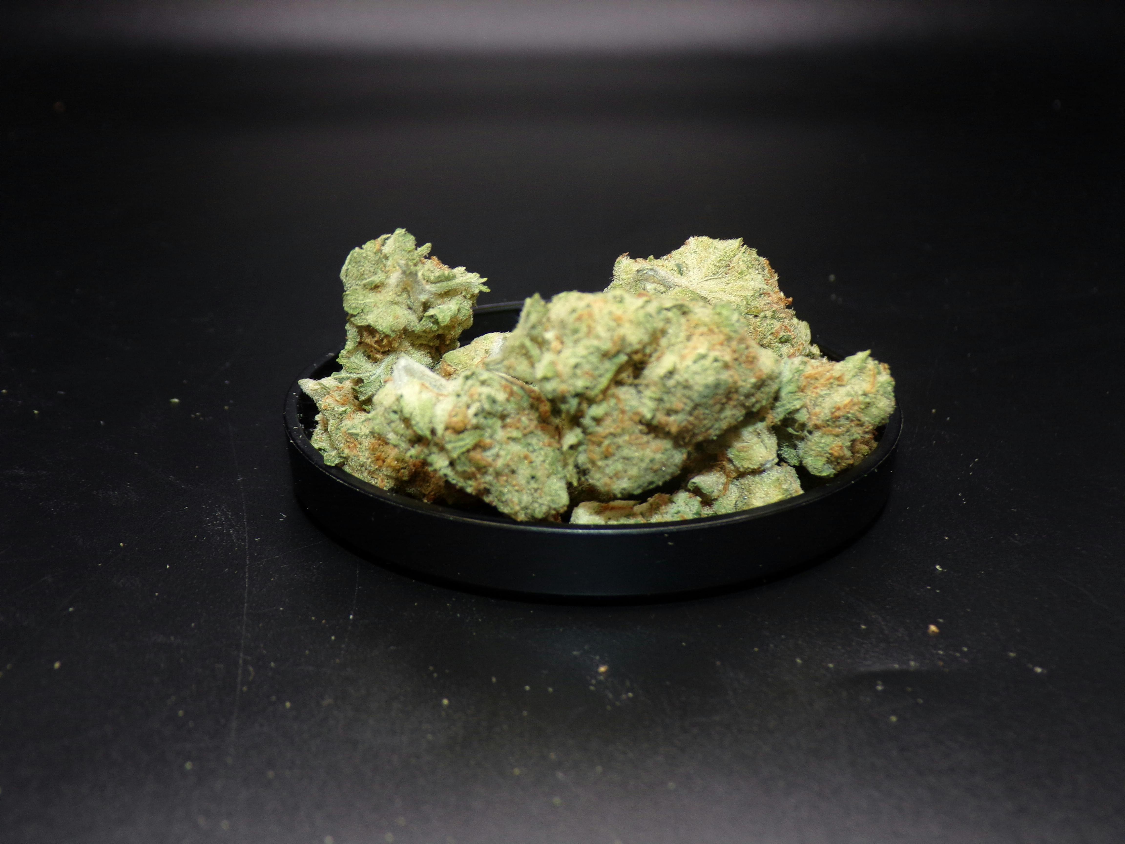 BOLD - HashPlant 3.5g