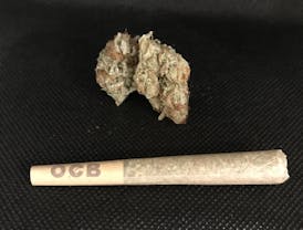 Cherry Jane (H) .5g Pre-roll