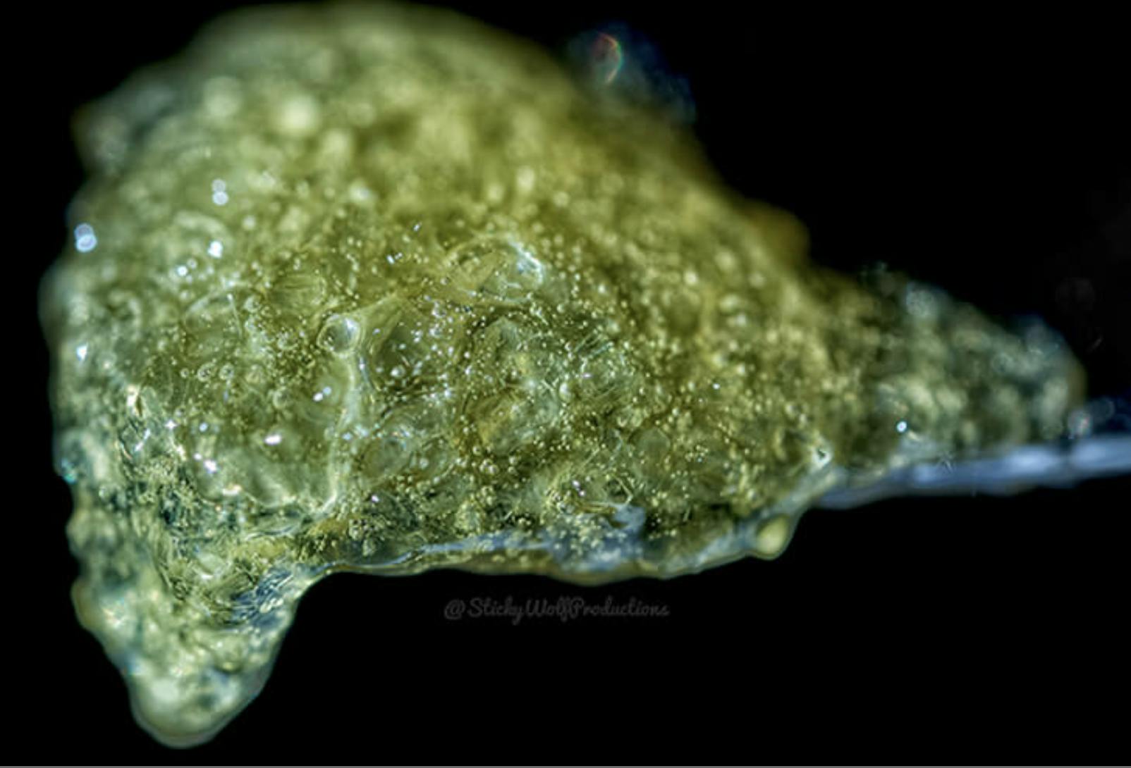 Kush Masters | Rosin