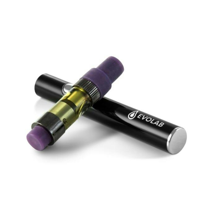 Evolab | Ice Cream Cake Cartridge | 500mg