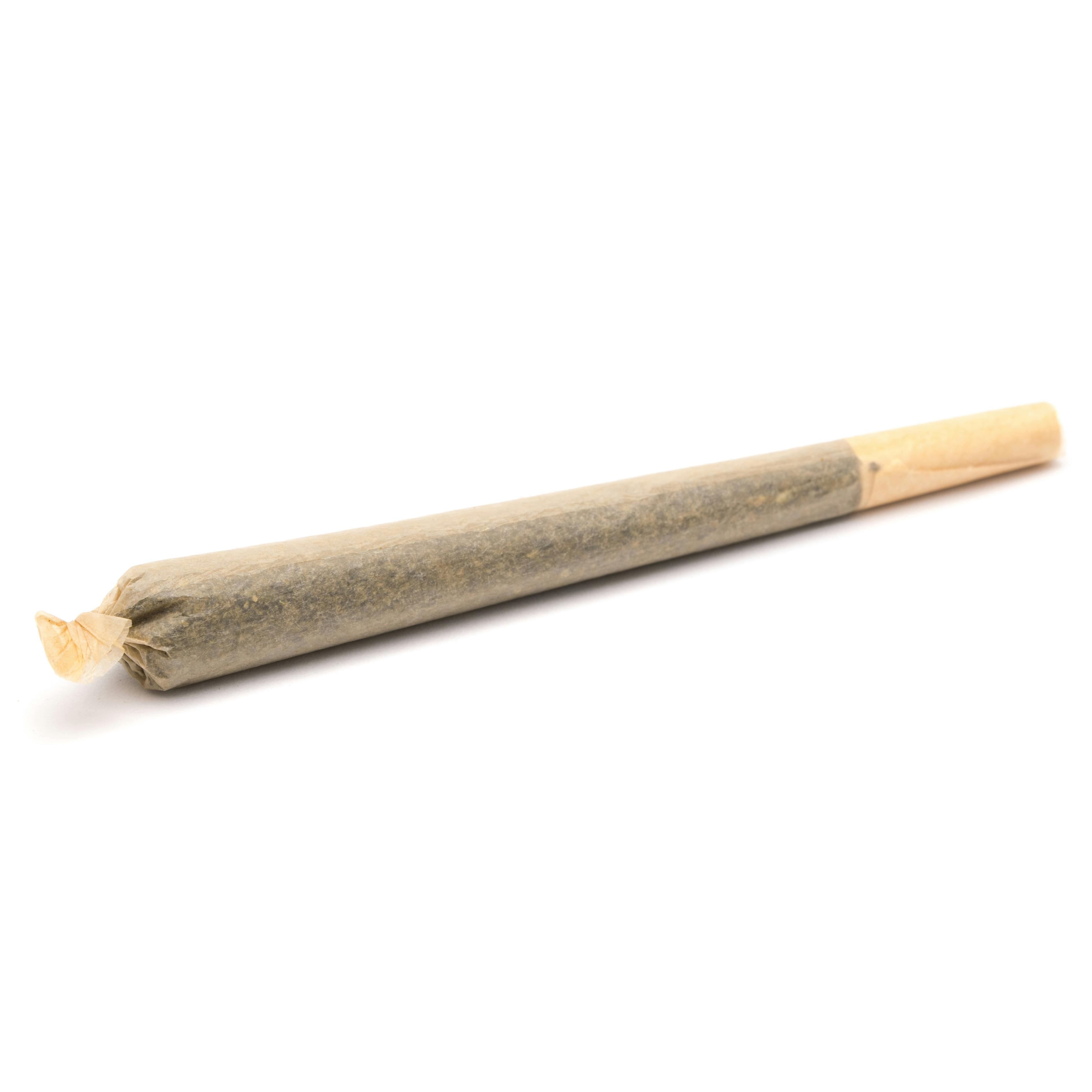 Quickies Prerolls: Infused Gummy Bears 1g