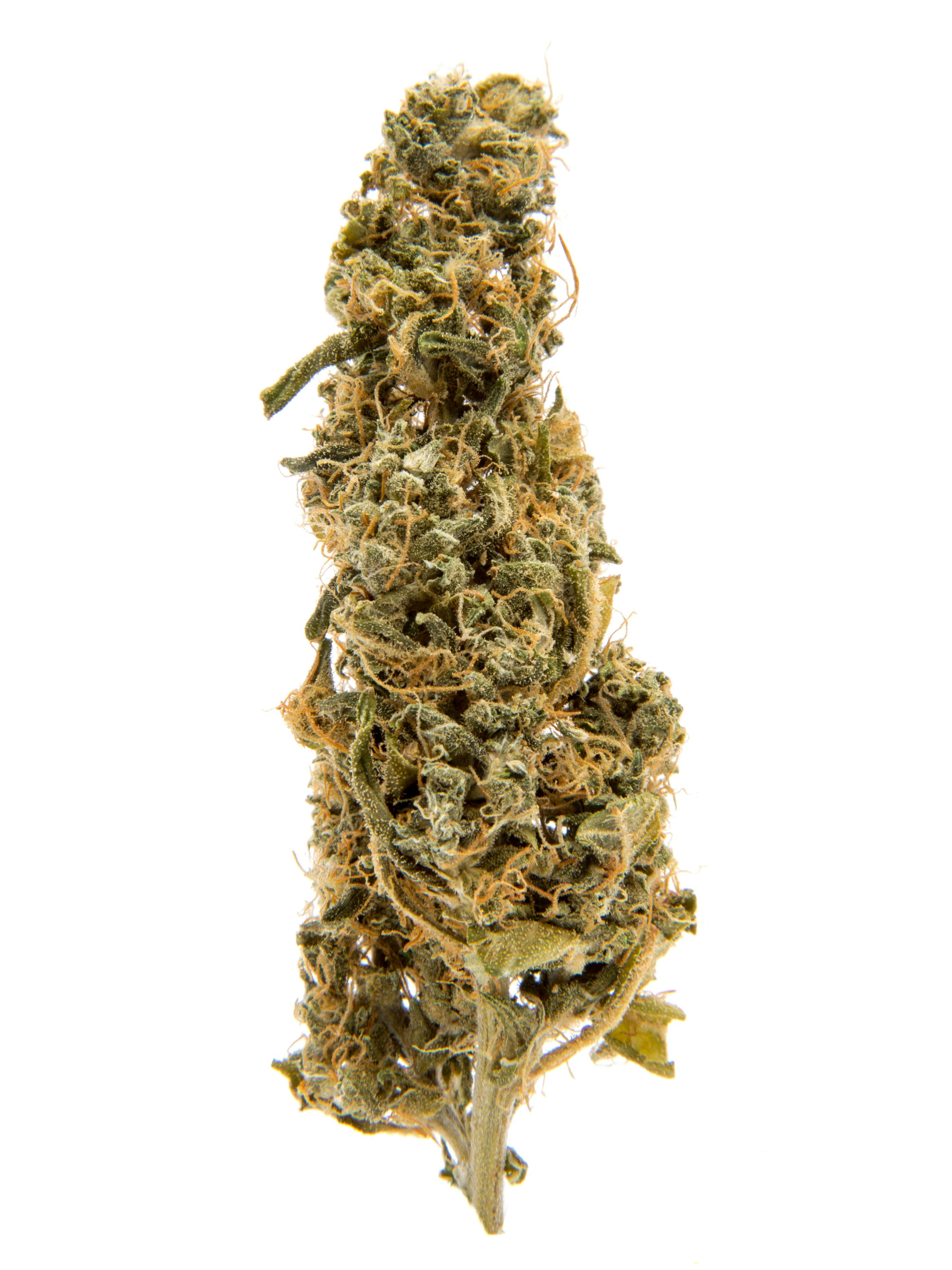 Top Shelf Cultivation — L.b.c Cooler