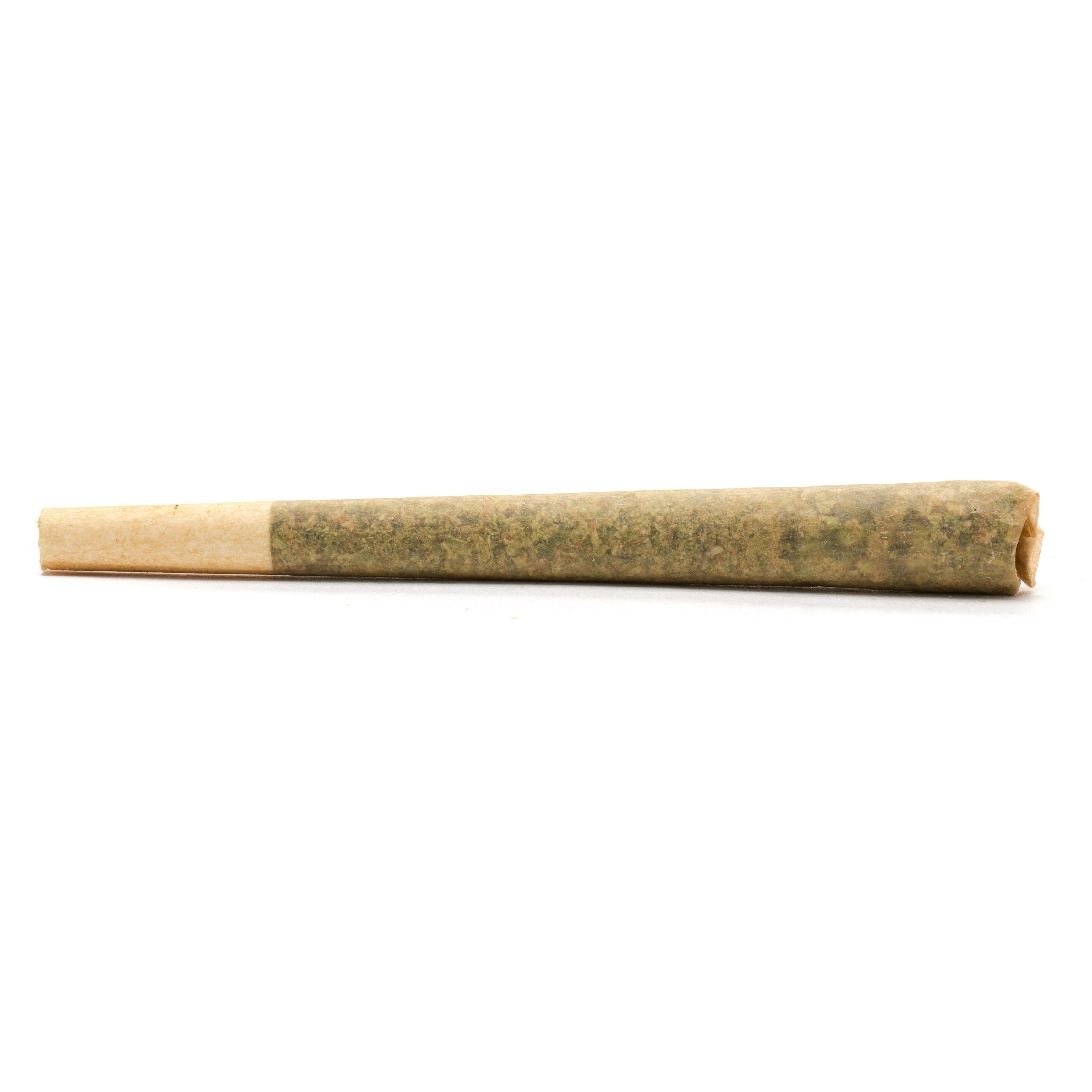 Tropicana Cookies — X Garlic Grove