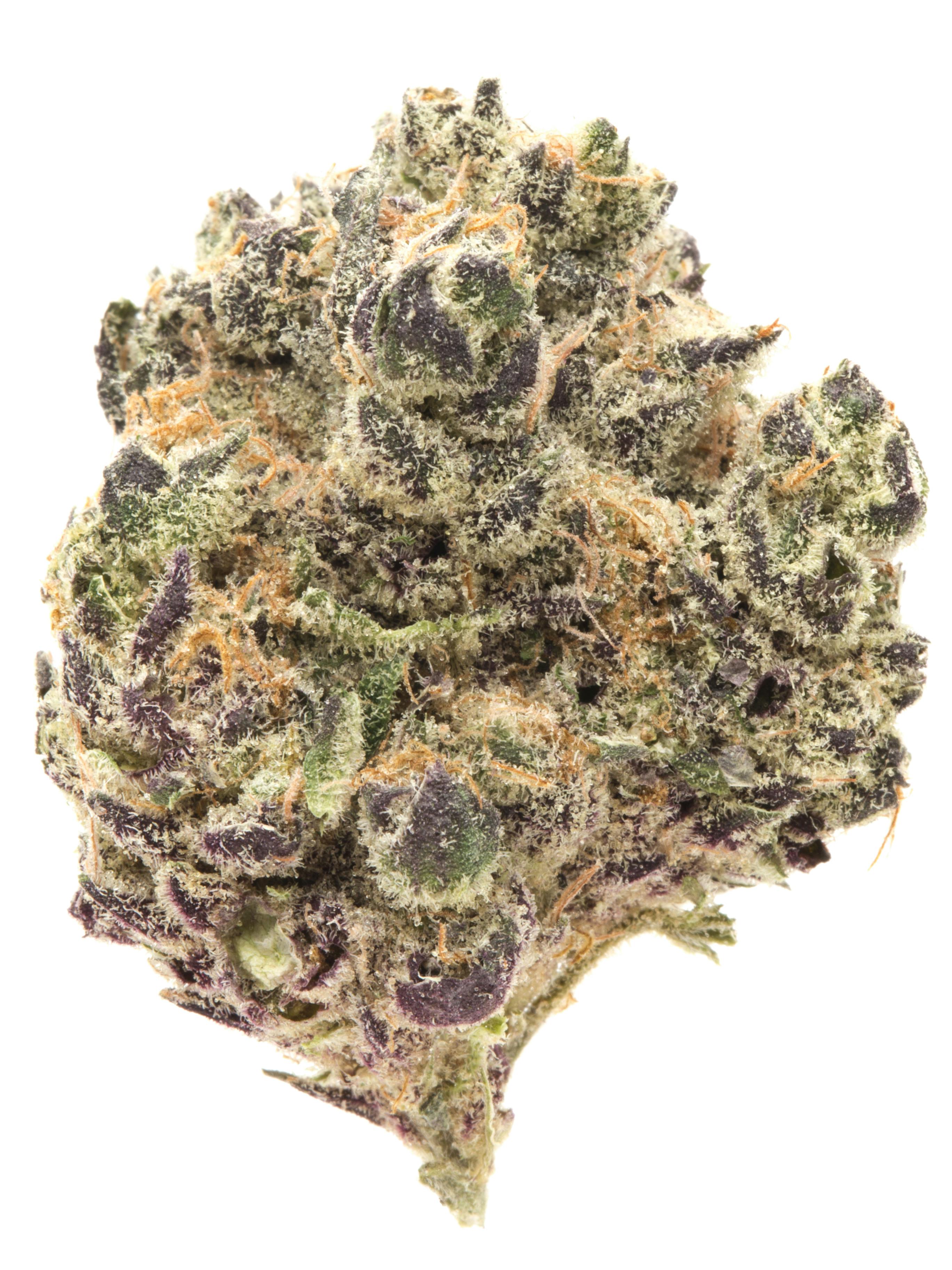 Pomegranate Shake | Buds | 7g