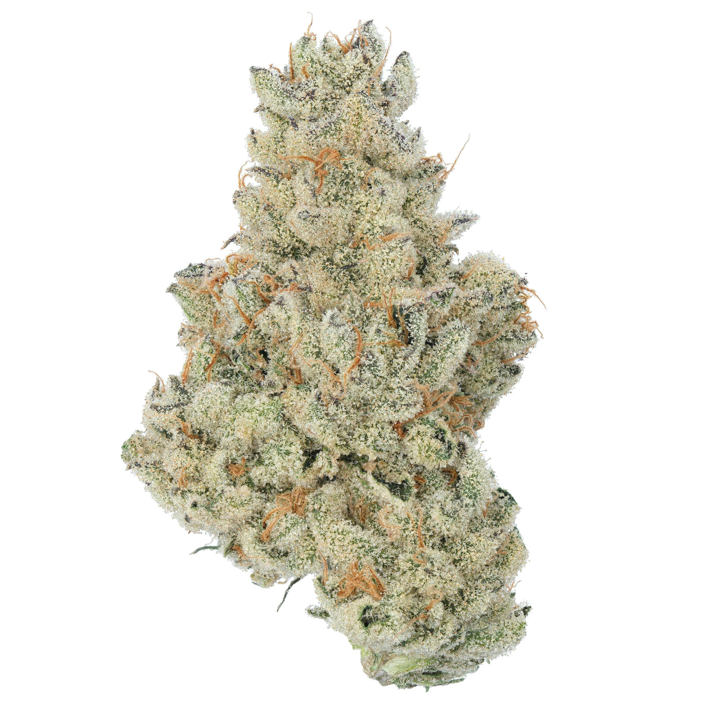 Grand Master Sexy | Big Buds | 3.5g