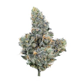 Blue Nerds - Flower