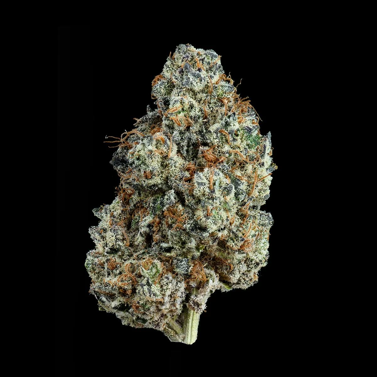 Grape Zkittlez