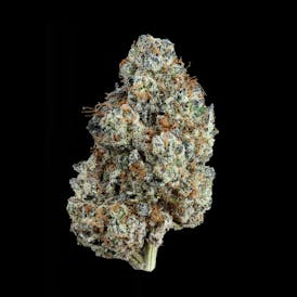Grape Zkittlez
