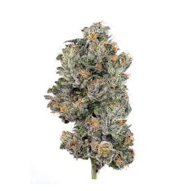 Sherb Cream Pie