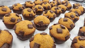 Pumpkin Muffin | 100mg