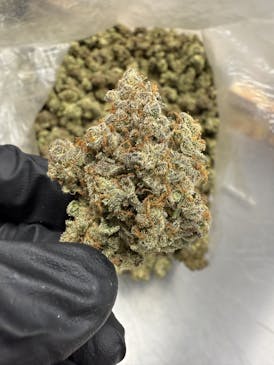 Wrank #5 | 3.5g