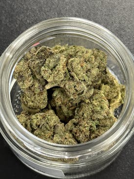 Black Runtz | THCA 3.5