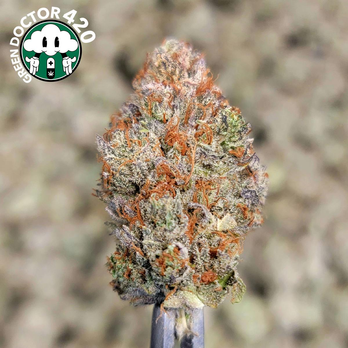 Detroit Runtz cannabis product