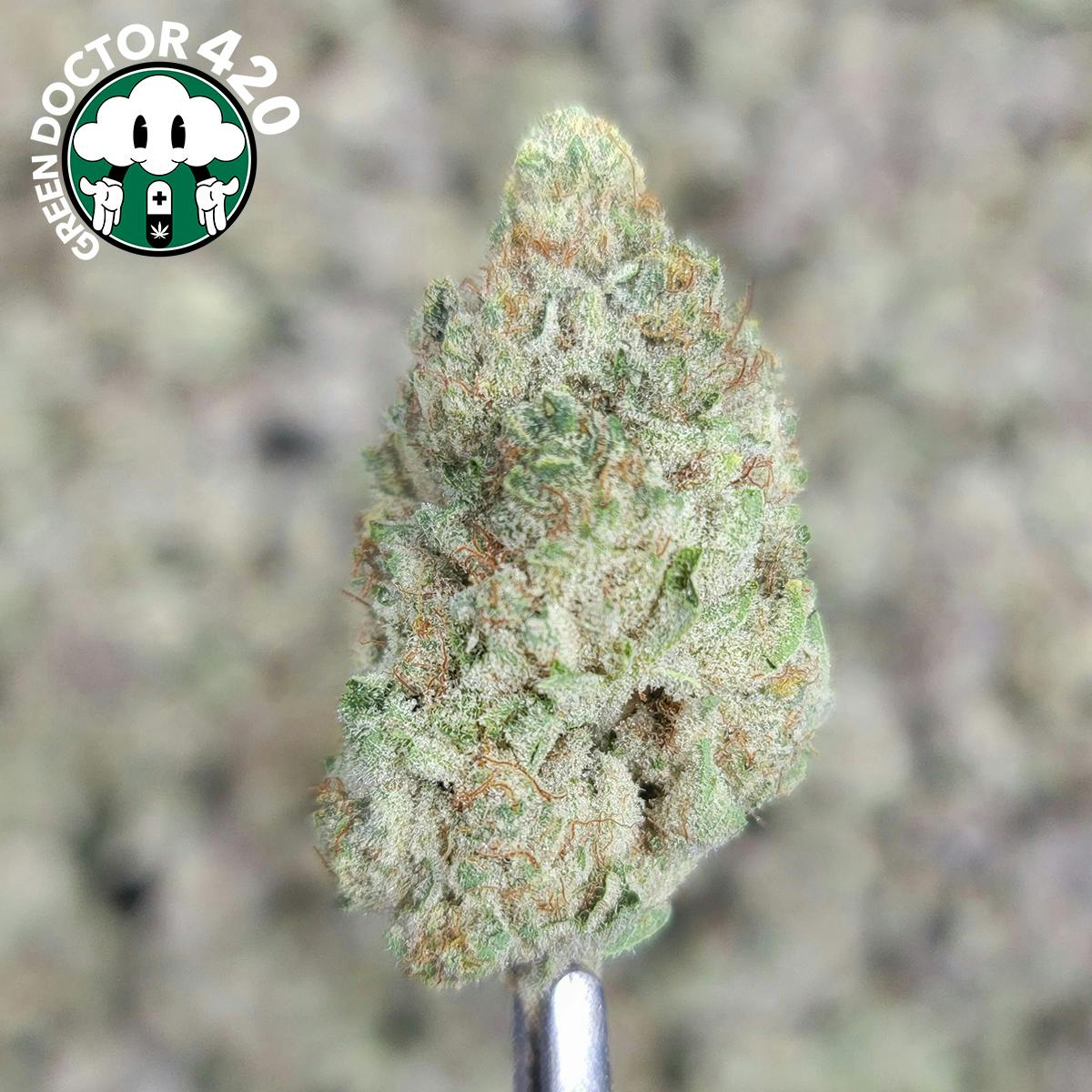 Flower - Golden Ticket - (g)