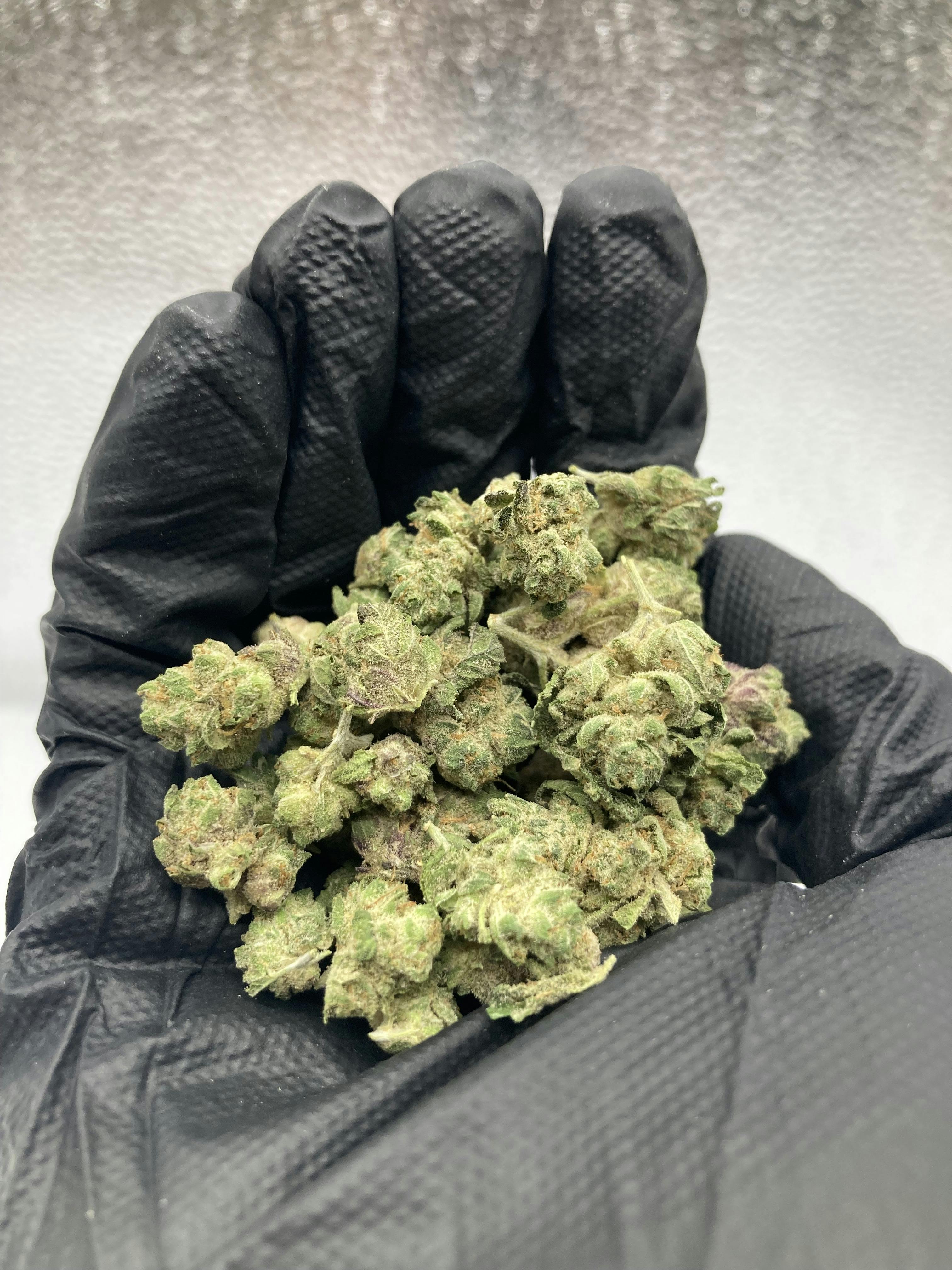 Gypsie Road | Big Buds | 3.5g