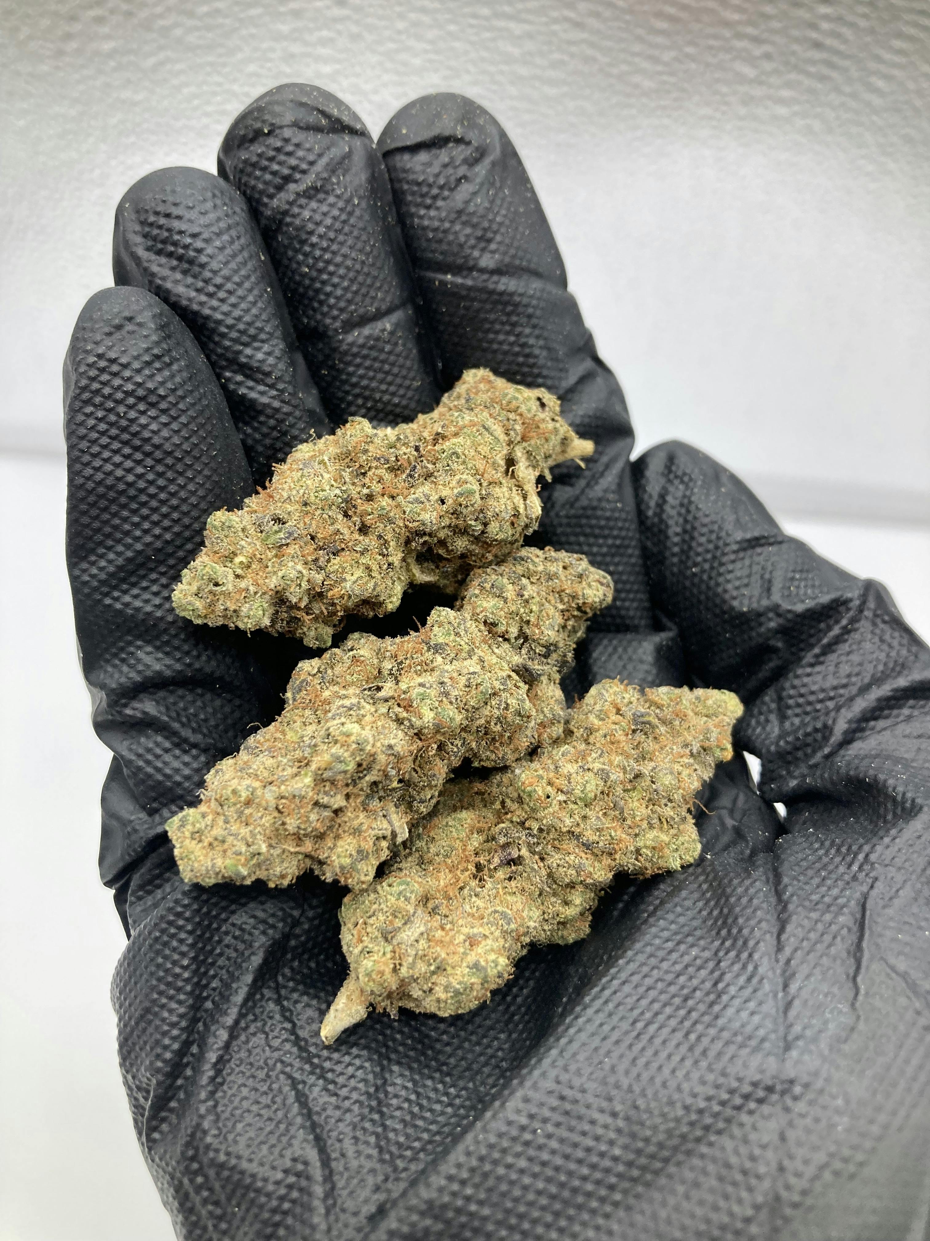 3.5g Meyer Lemons (Sativa) $15