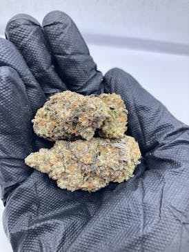 28g Watermelon Snowman (Contains Seeds) (Indica/Hybrid) - Grown East