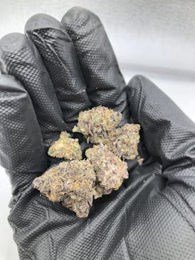 28g Alani Skunk x Gluey $99 (Hybrid)