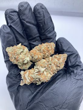 Rainbow Pie (Hybrid) - Grown East 3.5g / 7g / 14g / 28g