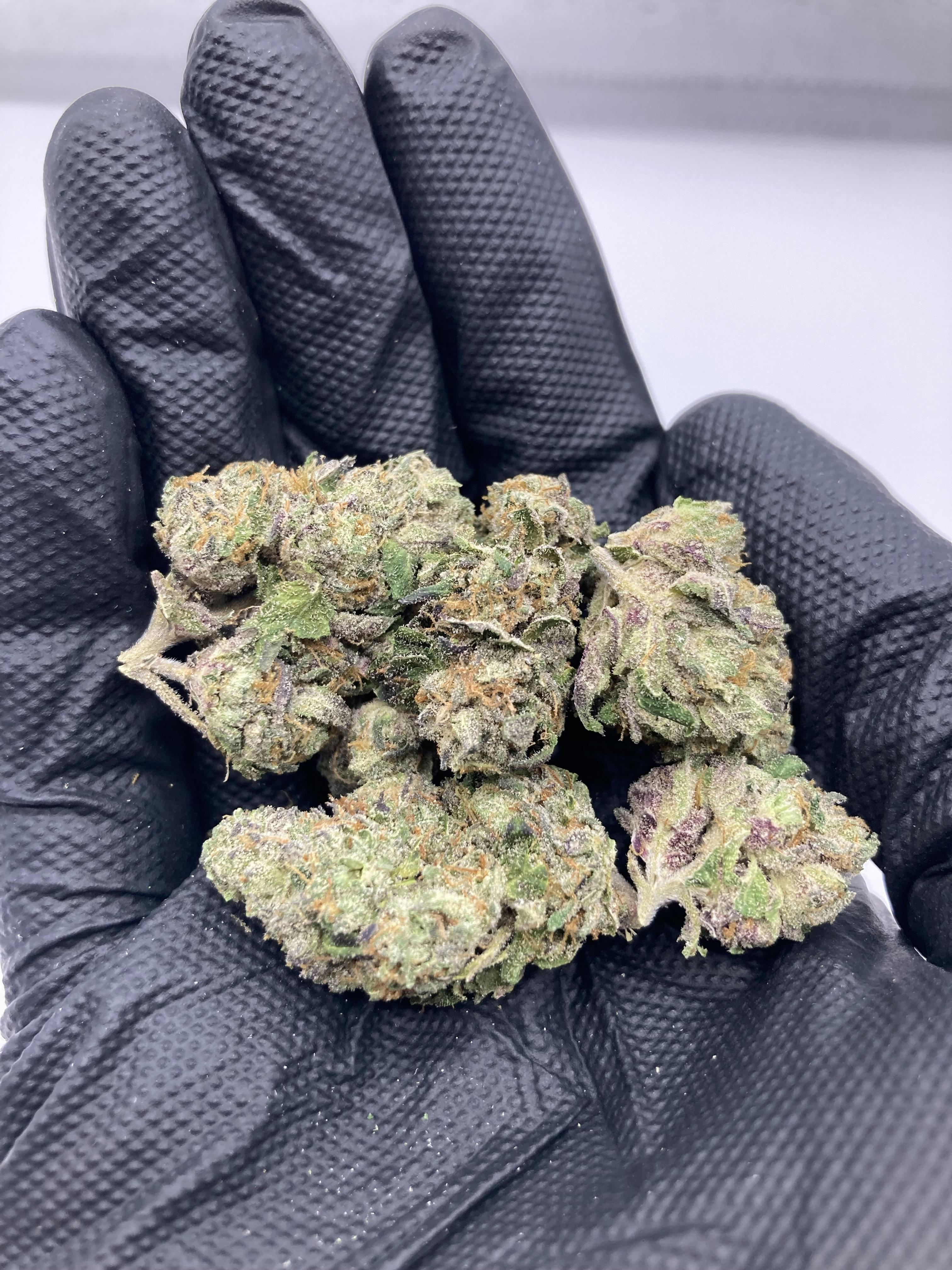 3.5g Sex Panther (Indica) $15