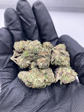 Sex Panther (Indica) - Grown East 3.5g / 7g / 14g / 28g