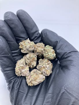 Ricky Bobby Overstock Sale !! (Indica) - Grown East
