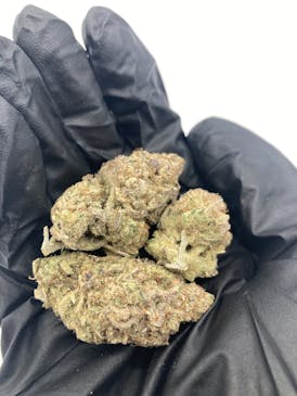 Orange Daiquiri (Sativa/Hybrid) - Grown East 3.5g / 7g / 14g / 28g