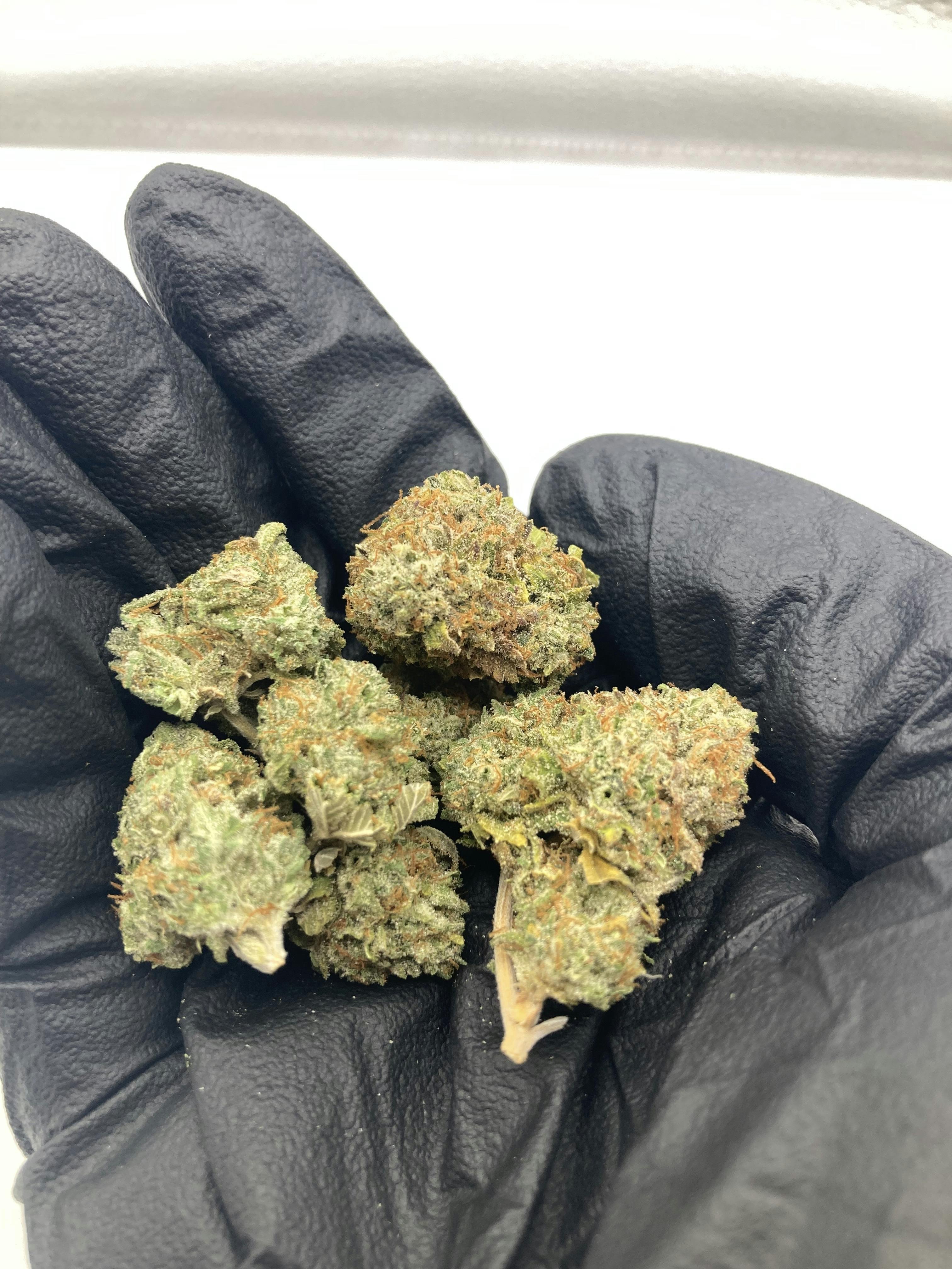 Lemon Cherry Gelato (Indica) - 3.5g / 7g / 14g / 28g
