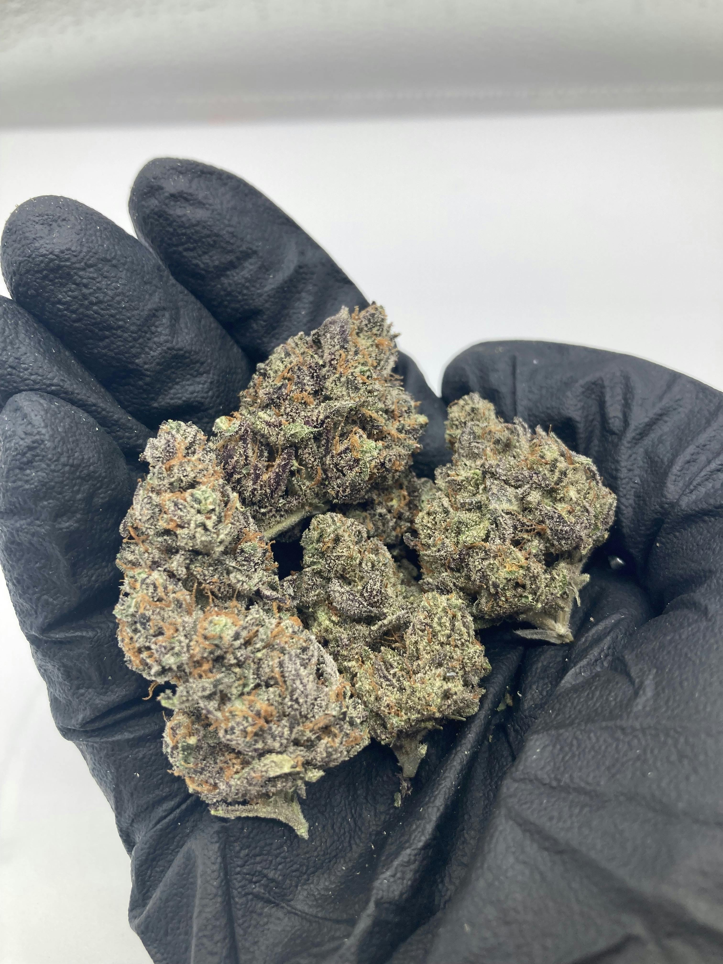 28g Blueberry Cupcake #9 (Hybrid) $99