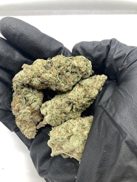 14g Alani Skunk x Gluey (Hybrid) $50 - Grown East