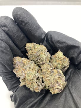 Citrus Farmer (Sativa/Hybrid) - Grown East 3.5g / 7g /14g / 28g
