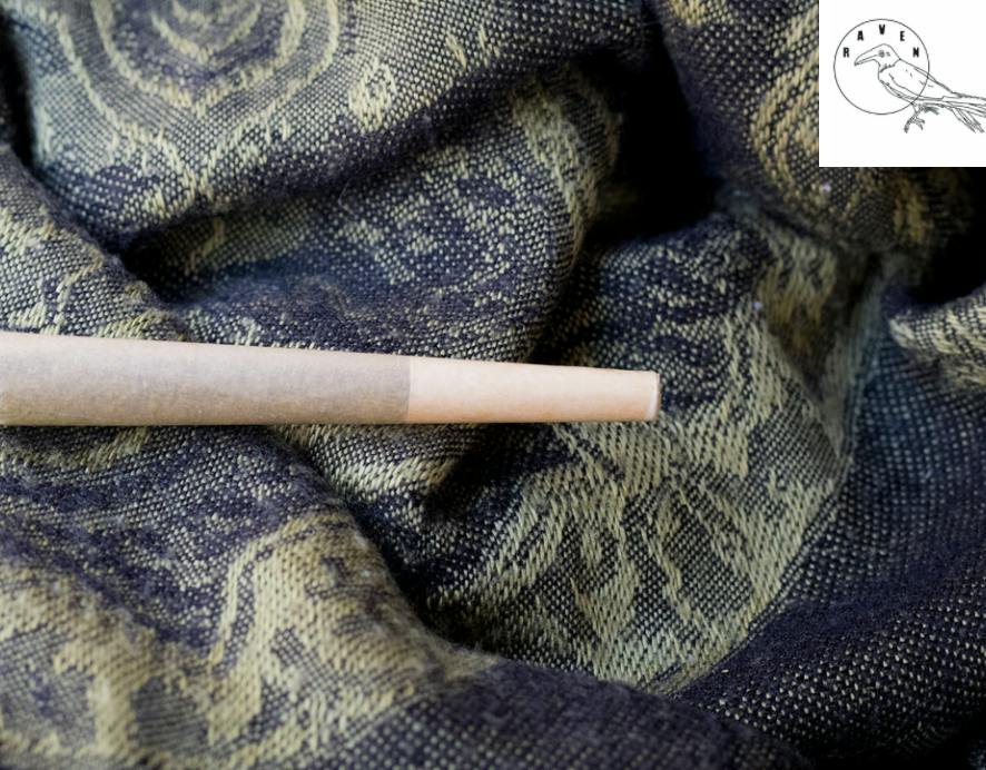 Raven Albino Koala 3PK PreRoll