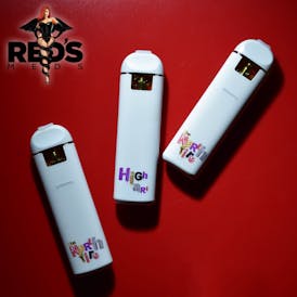 Bitties 500mg Disposable 2.0- The North Fire