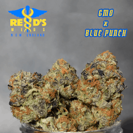 GMO X Blue Punch- The North Fire
