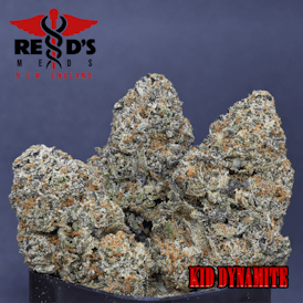 Kid Dynamite *IN HOUSE*