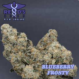 Blueberry Frosty