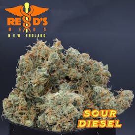 Sour Diesel *SATIVA*