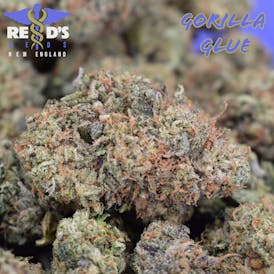 Gorilla Glue (Smalls)
