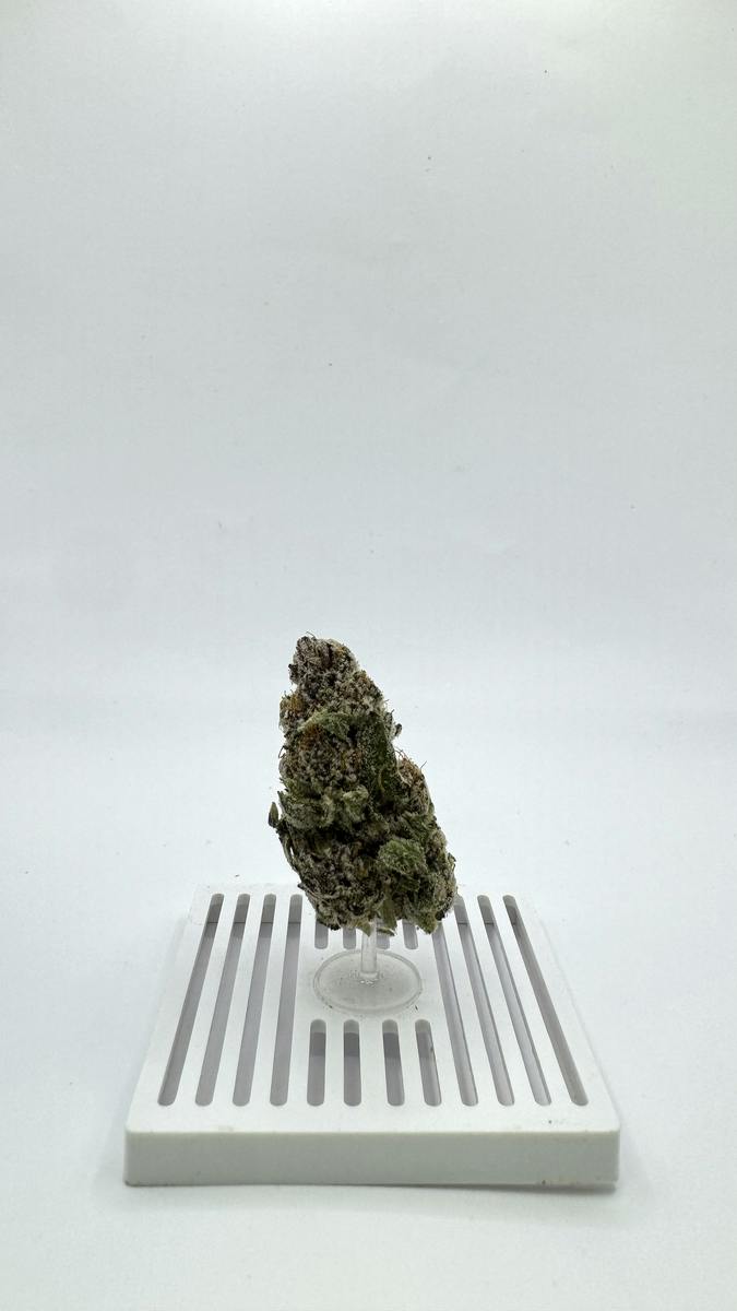 Black Truffle