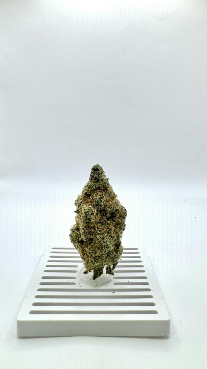 Cactus Breath