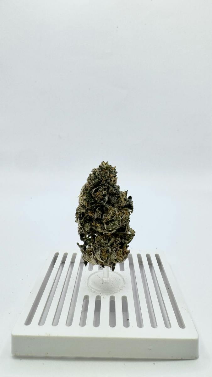 Sherb Cream Pie