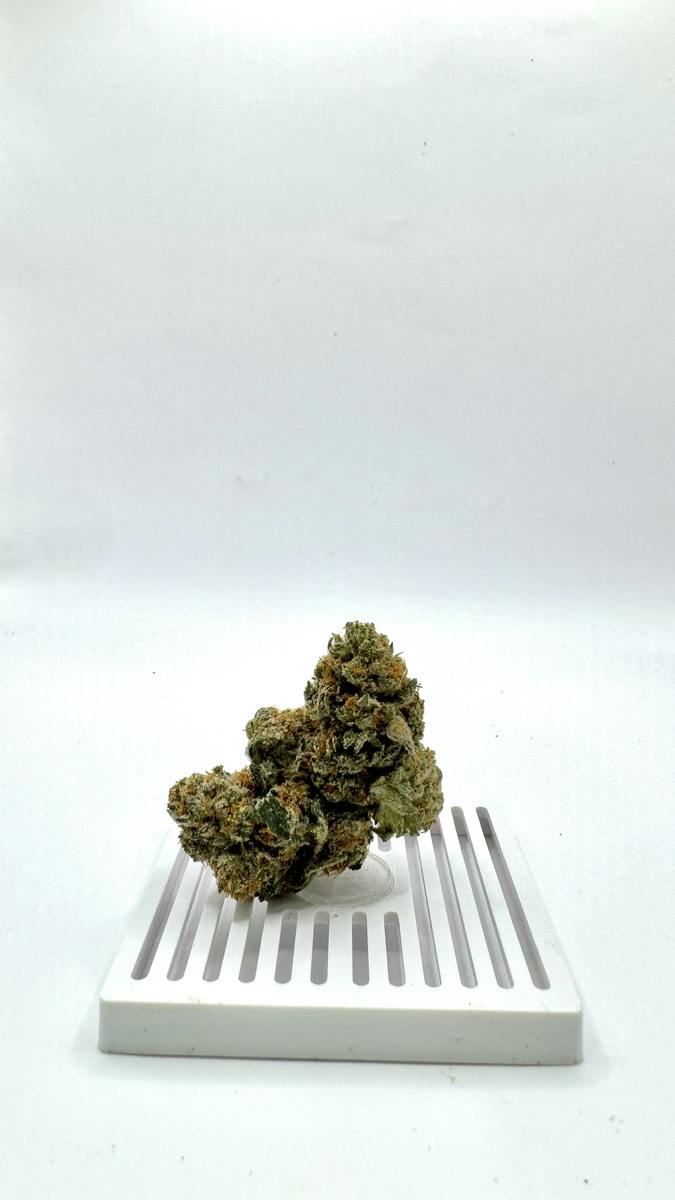 Sour Michigan
